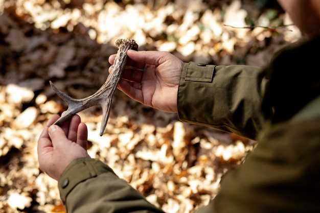 Preparing Your Firearm for Hunting Season
